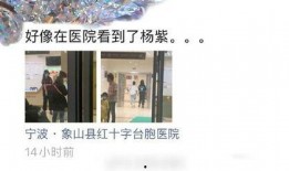 爆料杨紫去医院的视频,现场视频曝光引网友关注